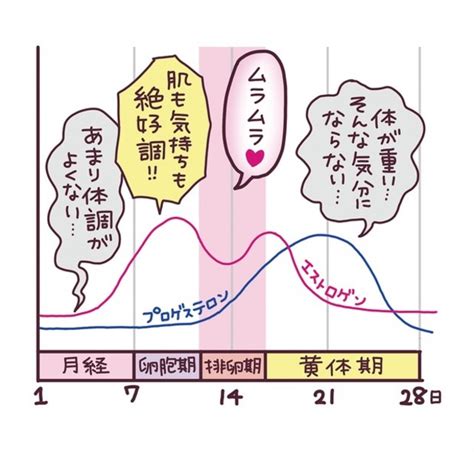 生理 終わりかけ 性欲|女性の性欲周期のサイクル